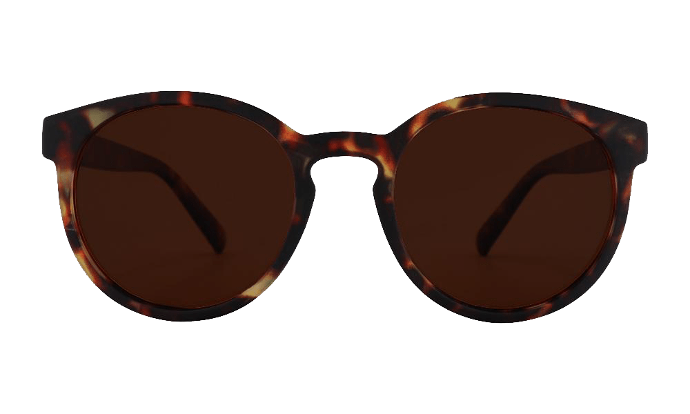 Solbriller - The Globe Trotter Series