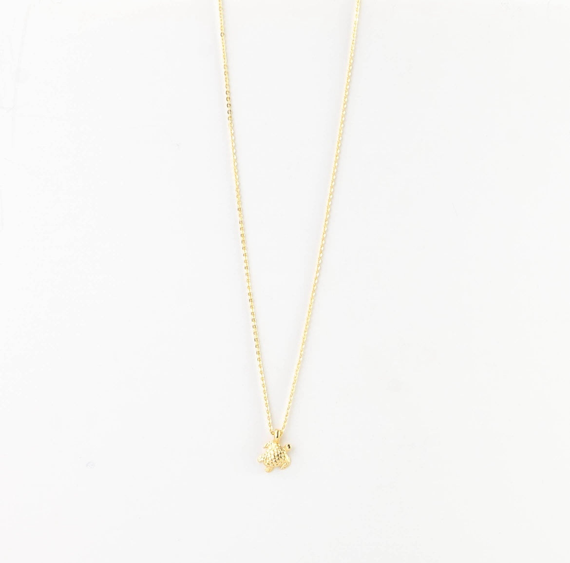 Asri Sea Turtle Jewelery (Gold)