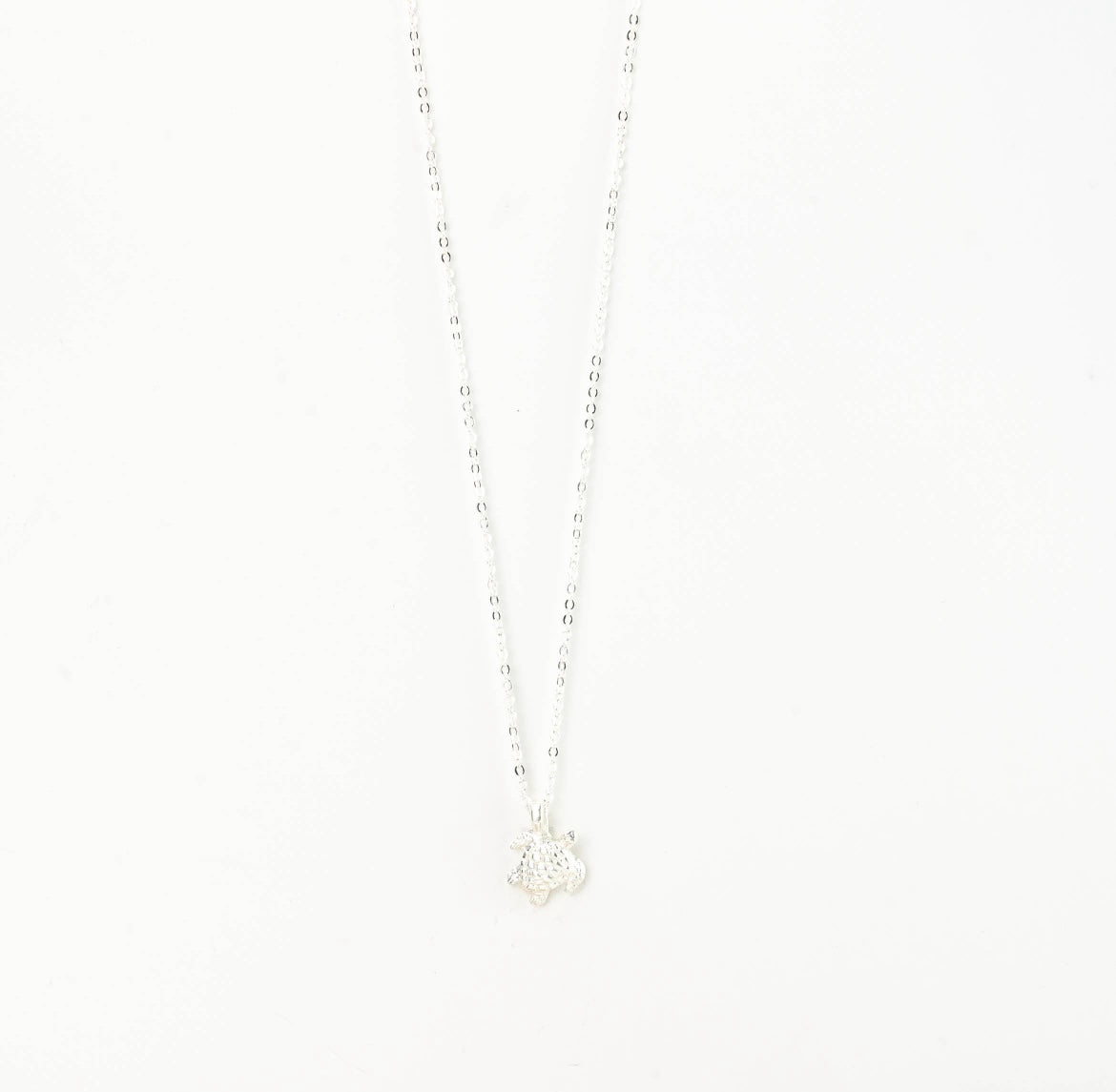 Asri Sea Turtle Jewelery (Silver)