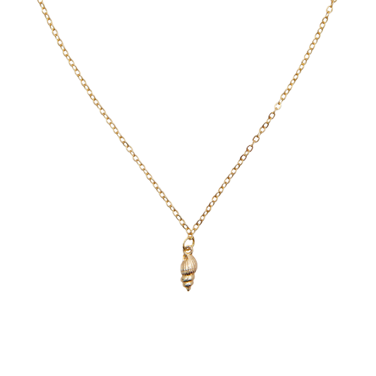 Seashell Jewelry from Lotus and Luna