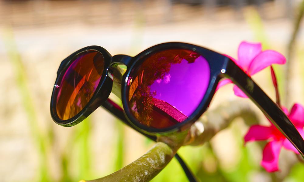 Sunglasses - The Savanna Series