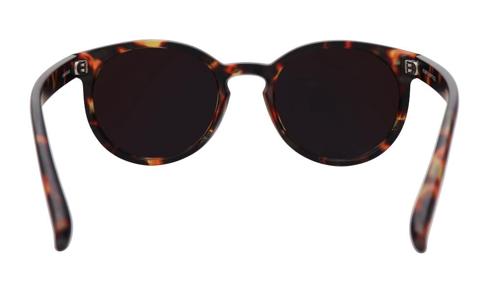 Sunglasses - The Savanna Series